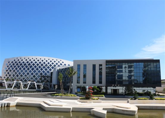 图片11