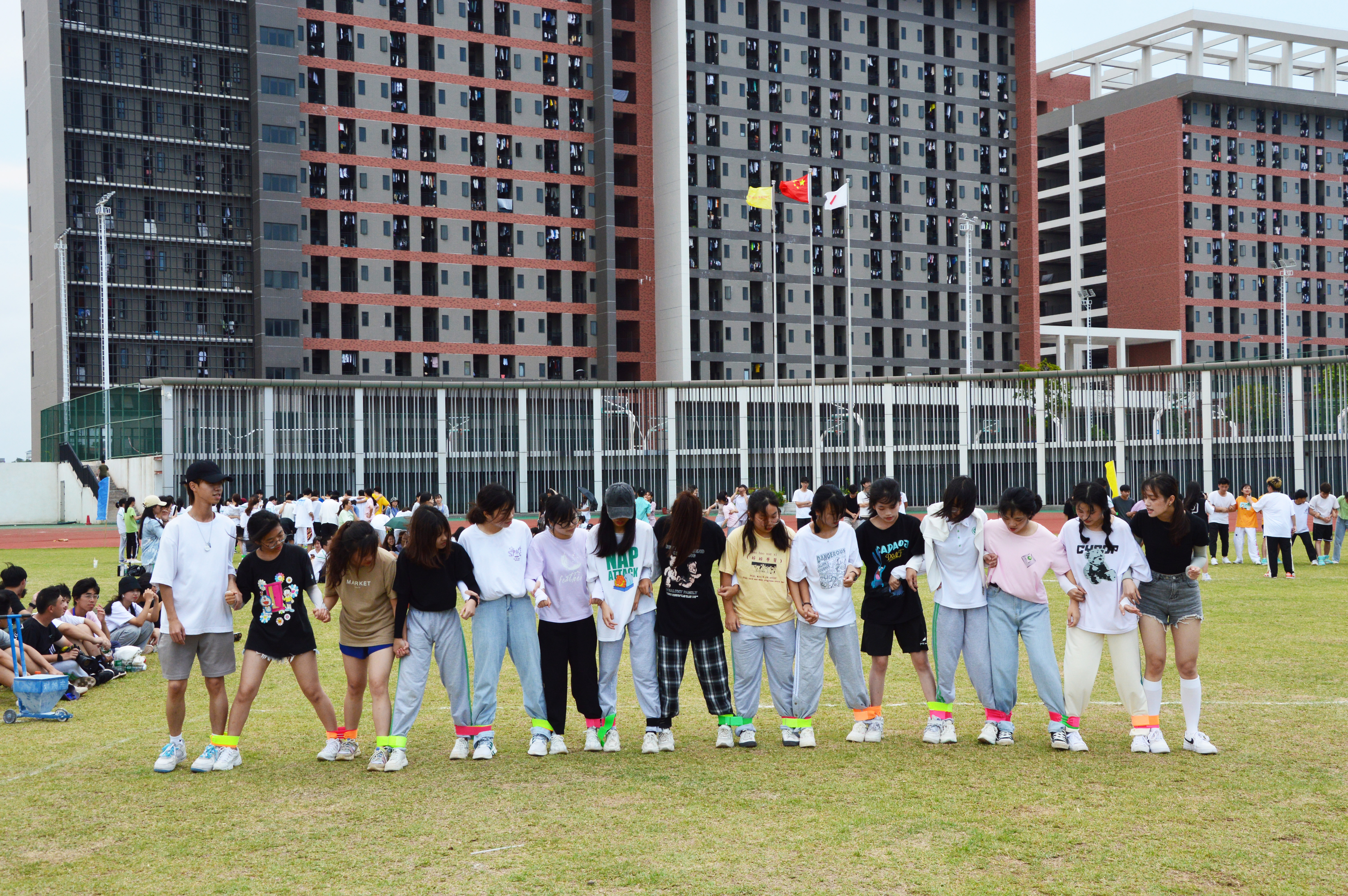 图片14