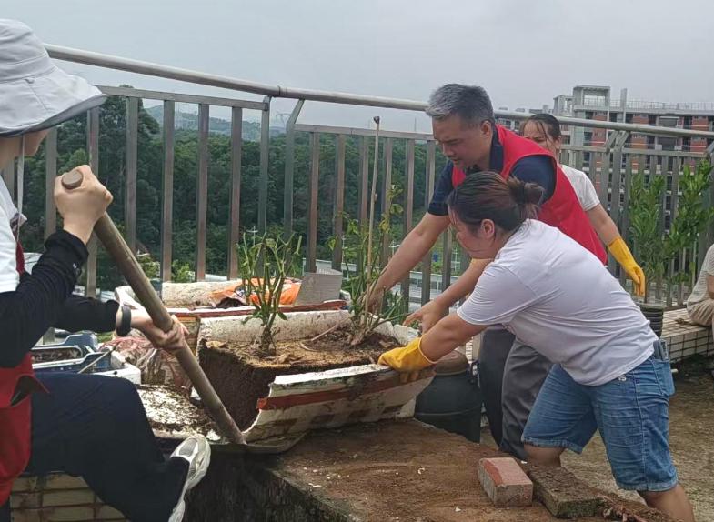 清理卫生死角、清除垃圾杂物